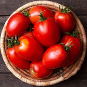 Amish Paste Tomato Seeds