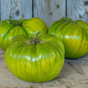 Aunt Ruby's Tomato Seeds