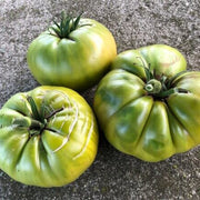 Aunt Ruby's Tomato Seeds