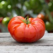 Aussie Paste Tomato Seeds