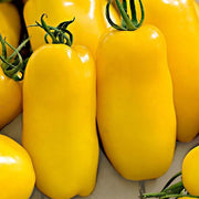 Banana Tomato Seeds