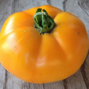 Big Orange Tomato Seeds