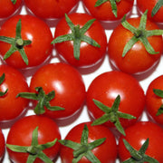 Birdie Rouge Red Cherry Tomato Seeds