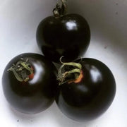 Black Tomato Seeds