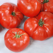 Box Car Willie Tomato Seeds