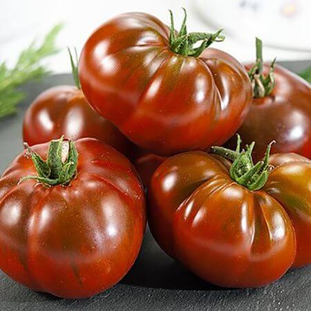Brown Giant Tomato Seeds