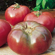 Cherokee Tomato Seeds