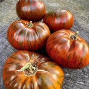 Chocolate Stripes Tomato Seeds