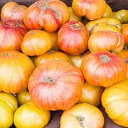 Copia Tomato Seeds