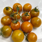 Dark Orange Tomato Seeds