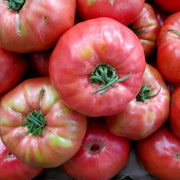Dark Pink Tomato Seeds