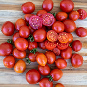 Datterino Tomato Seeds