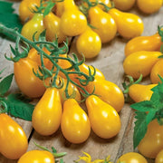 Deep Yellow Tomato Seeds