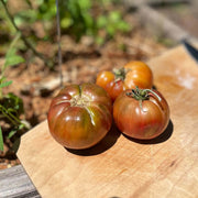 Dwarf Chocolate Tomato Seeds