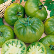 Green Cherokee Tomato Seeds
