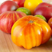 Hillbilly Potato Leaf Tomato Seeds