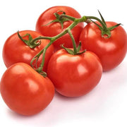 Homestead Tomato Seeds
