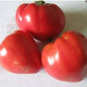 Hungarian Heart Tomato Seeds