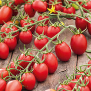 Juliet Tomato Seeds