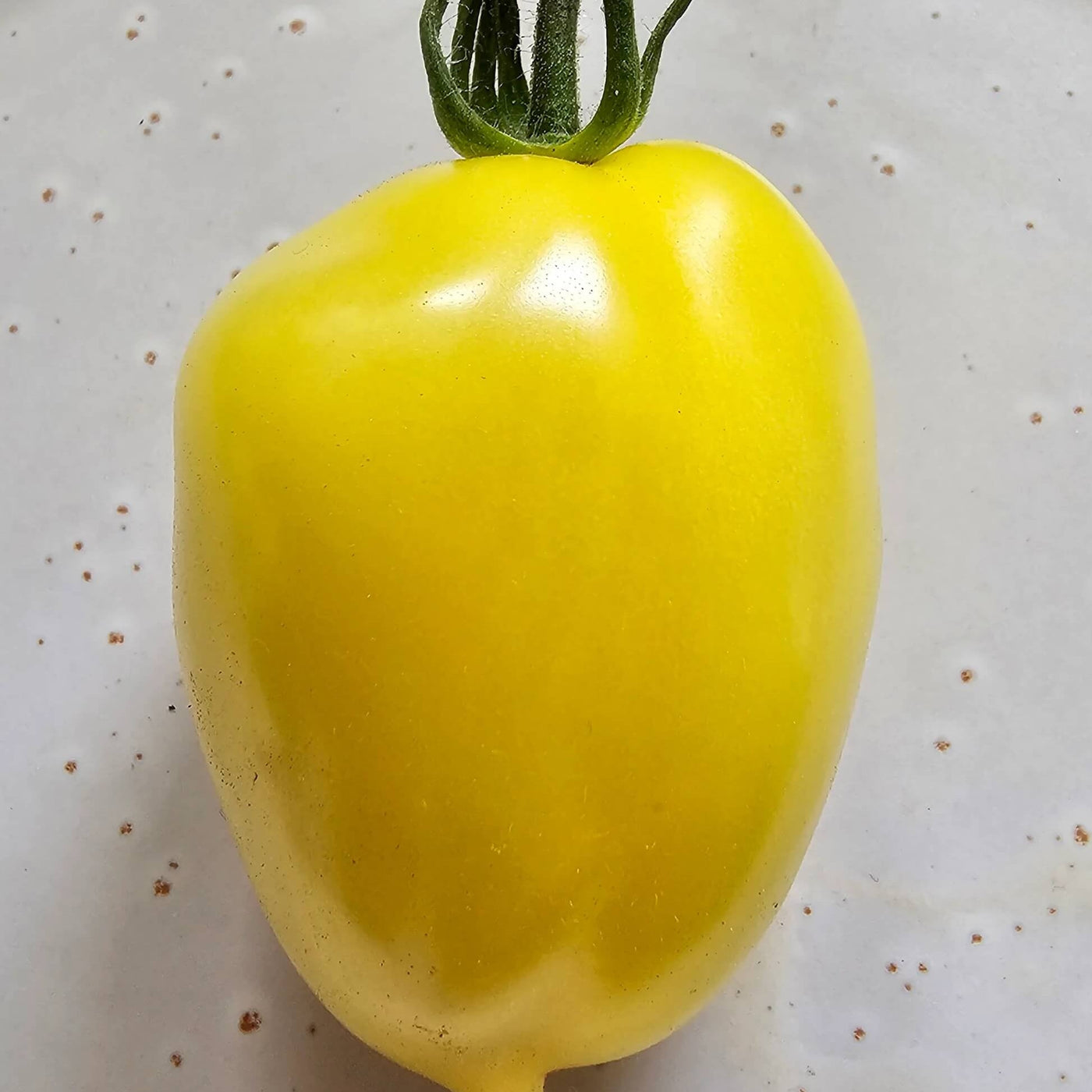 Lemon Tree Tomato Seeds