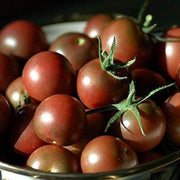 Light Brown Tomato Seeds