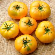 Light Yellow Giant Tomato Seeds