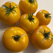 Light Yellow Giant Tomato Seeds