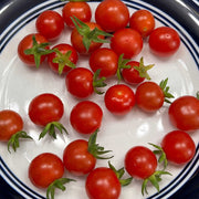 Mexican Silly Tomato Seeds