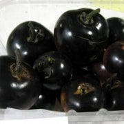 Mixed Black Tomato Seeds