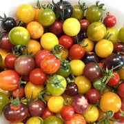 Mixed Cherry Tomato Seeds