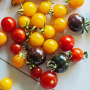 Mixed Cherry Tomato Seeds