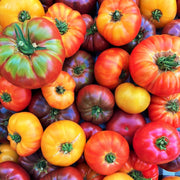 Mixed Color Beefsteak Tomato Seeds