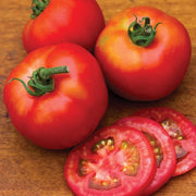 Moonglow Tomato Seeds