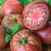 Nut Brown Tomato Seeds