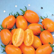 Orange Grape Tomato Seeds