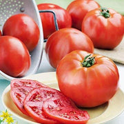 Phoenix Hybrid Tomato Seeds