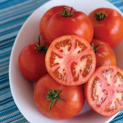 Phoenix Hybrid Tomato Seeds