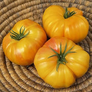 Pineapple Tomato Seeds