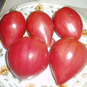 Pink Oxheart Tomato Seeds