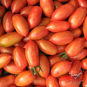 Pink Tiger Tomato Seeds