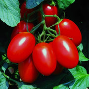Juliet Tomato Seeds