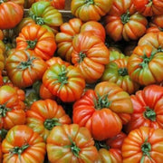 RAF Tomato Seeds