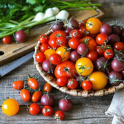 Rainbow Cherry Tomato Seeds