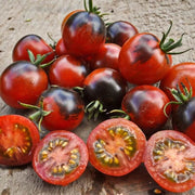 Red Black Tomato Seeds