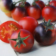 Red Gray Tomato Seeds