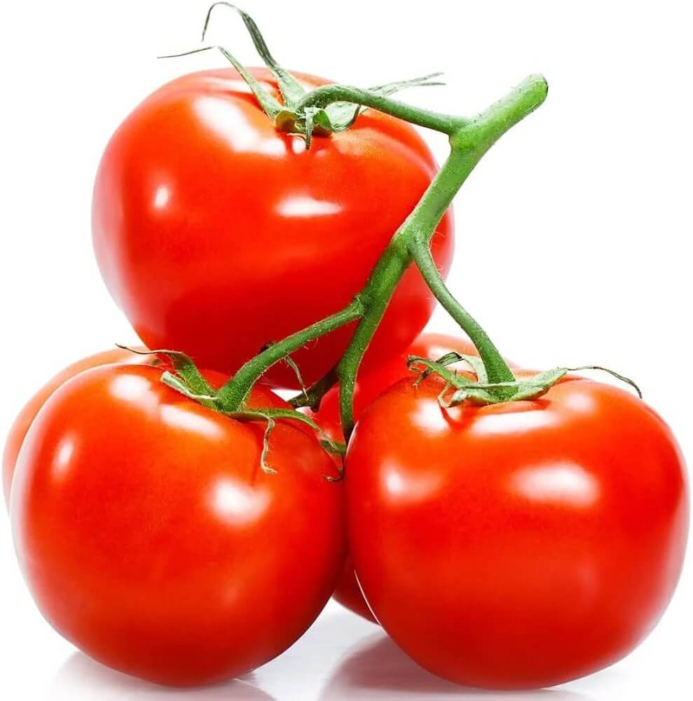 Red Horizon Tomato Seeds