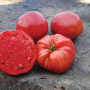 Red Mortgage Tomato Seeds