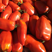 Red Opalka Tomato Seeds