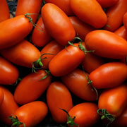 Red San Marzano Tomato Seeds