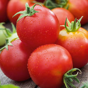 Red Siberian Tomato Seeds